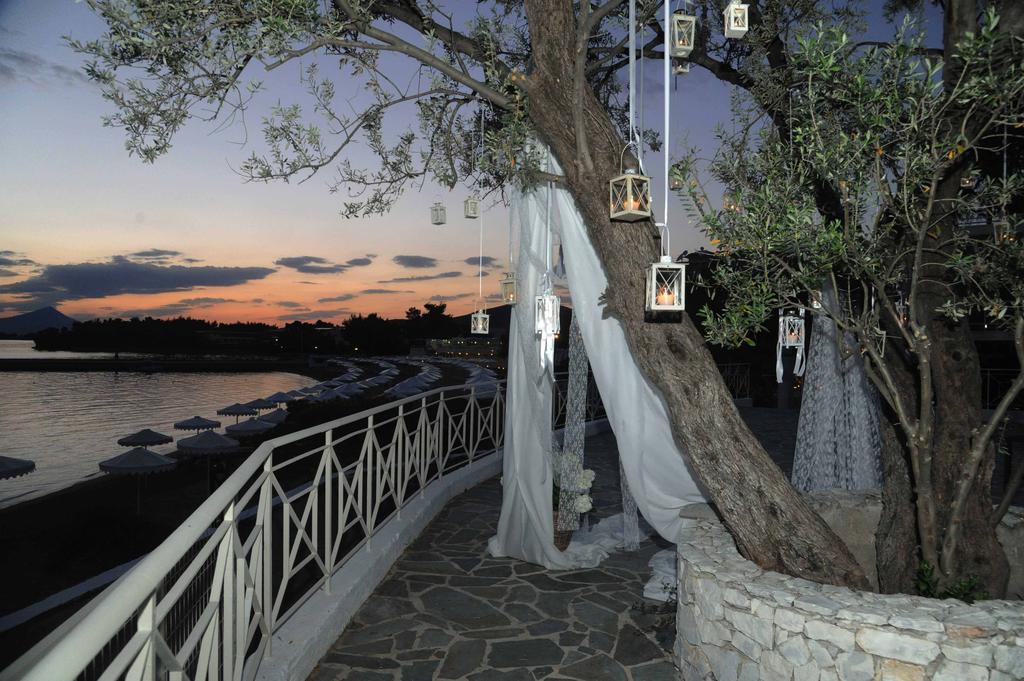 Θέρετρο Palmariva 4*